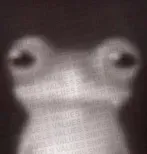 Shadow Daggers | Aurora
